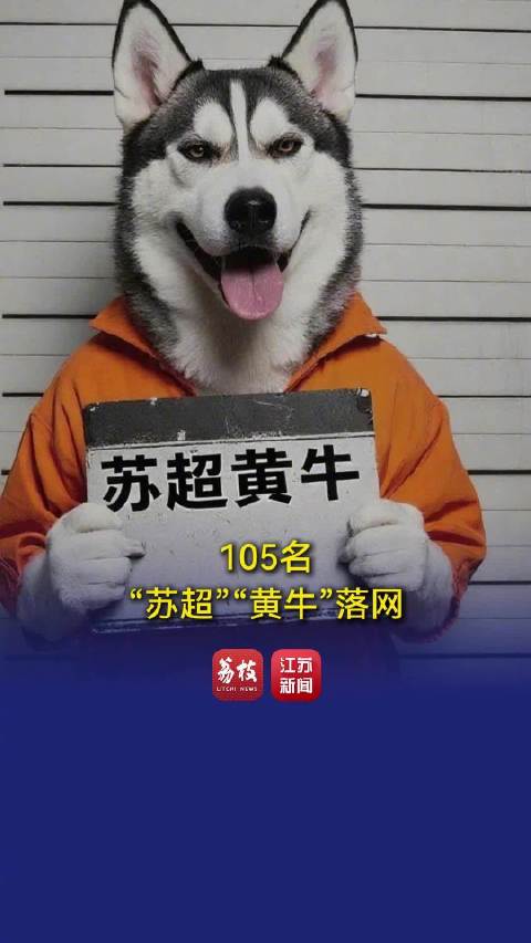 江苏公安抓获苏超倒票黄牛105人已成立工作专班集中打击的简单介绍