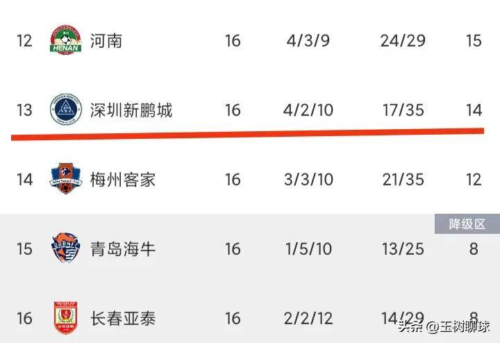 深圳新鹏城官宣新任主帅前国足西班牙助教正式接手的简单介绍