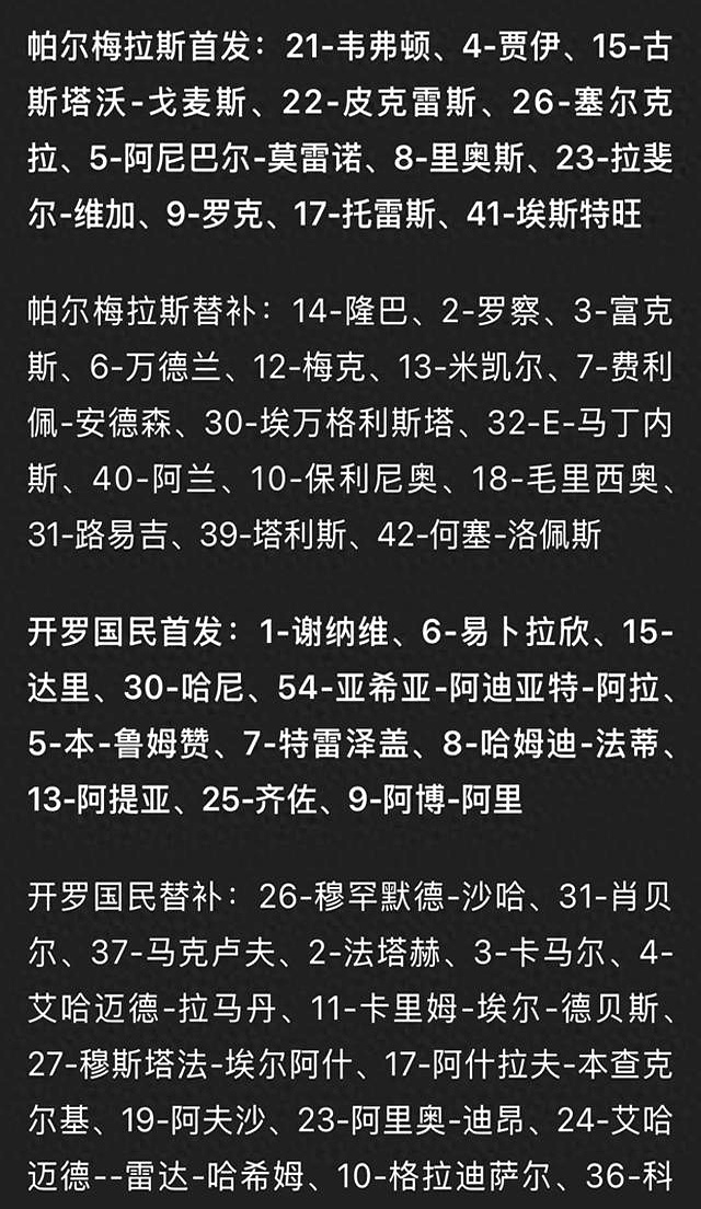 开云体育登录入口-帕尔梅拉斯伤病名单更新，关键球员状态备受关注(帕尔梅拉斯赛程500)