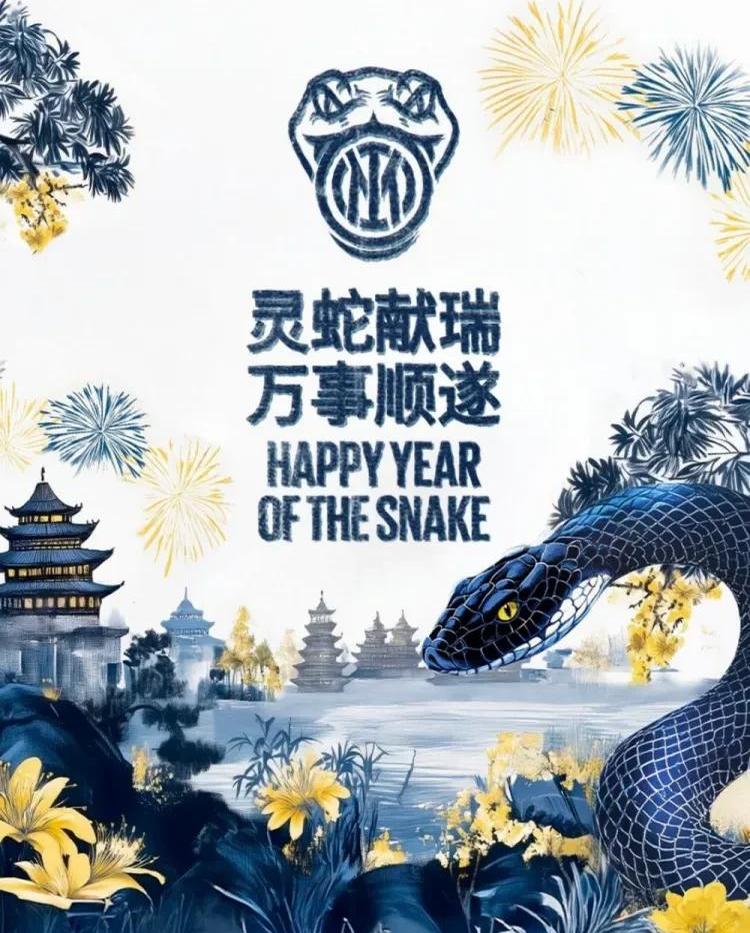 开云体育登录-恭喜国米，主帅钦点，2大青训双子星留队，另有2瑰宝有望闪光(国米双子星是哪两个)